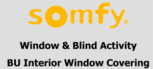 Window & Blind Activity